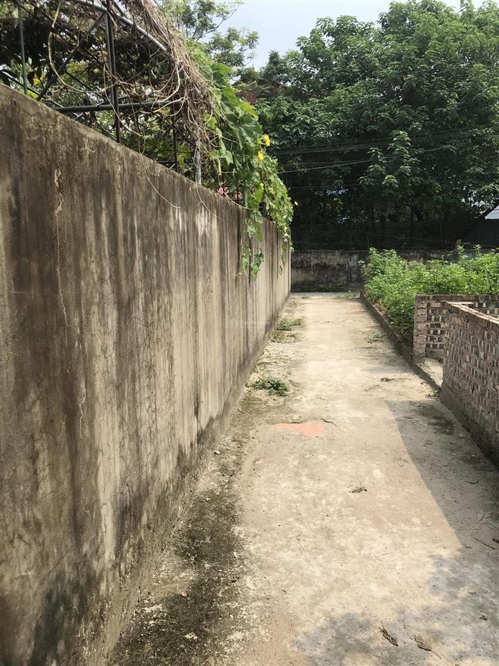 Bán 40m2 đại áng ô tô gần , giá rẻ chỉ hơn 3 tỷ