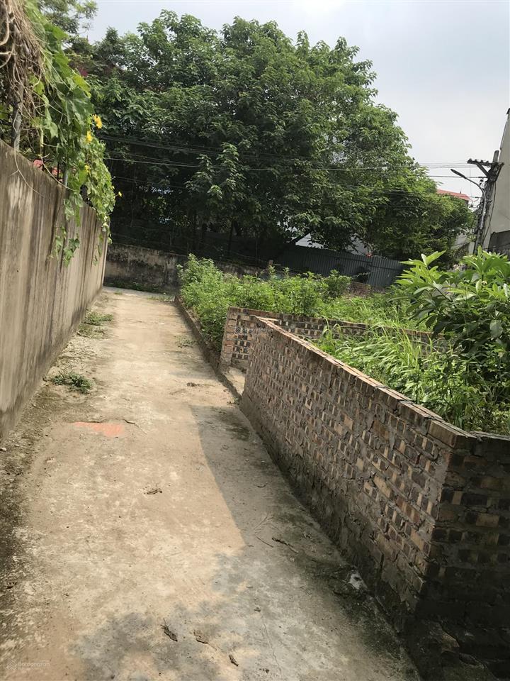 Bán 40m2 đại áng ô tô gần , giá rẻ chỉ hơn 3 tỷ