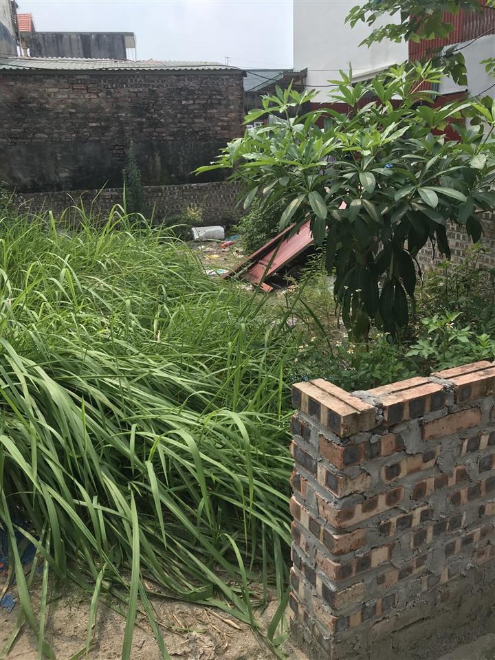 Bán 40m2 đại áng ô tô gần , giá rẻ chỉ hơn 3 tỷ