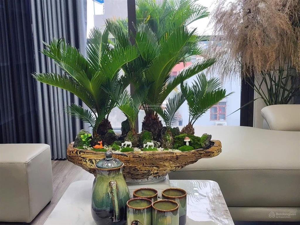 Siêu hiếm thạch bàn nhà đẹp 6 tầng thang máy oto 48m chỉ 9.15 tỷ nhà 48m x 6 tầng, thang máy x