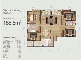 Chính chủ cho thuê căn hộ cao cấp 4pn 3vs 3logia 186m2. ra tết vào ở luôn chỉ 30tr/th có slot oto
