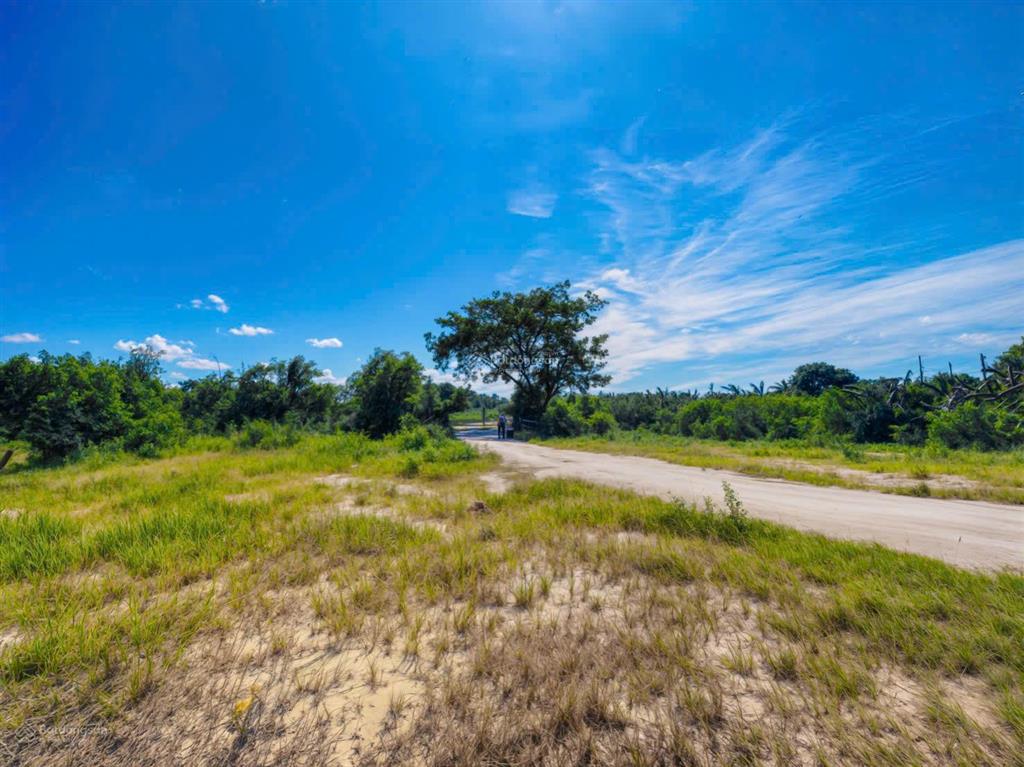 Bán đất  hẻm đinh công tráng  (44 x 25m)  phủ hồng 100%  giá ~52 triệu/m ngang