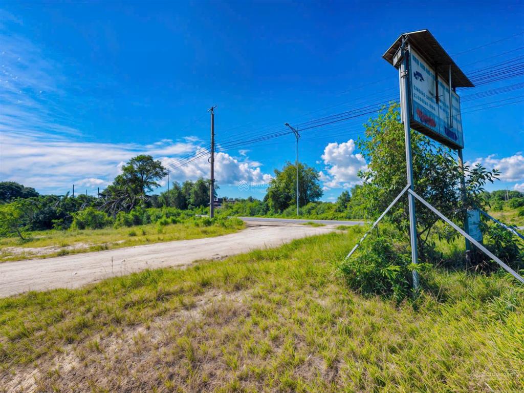 Bán đất  hẻm đinh công tráng  (44 x 25m)  phủ hồng 100%  giá ~52 triệu/m ngang