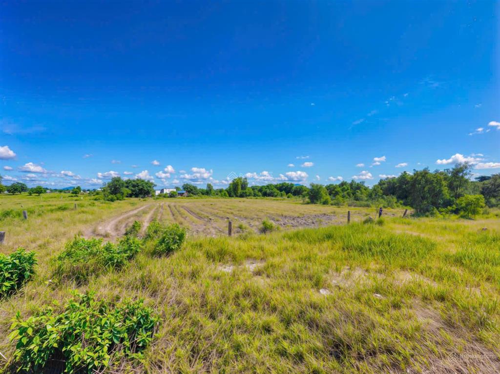 Bán đất  hẻm đinh công tráng  (44 x 25m)  phủ hồng 100%  giá ~52 triệu/m ngang