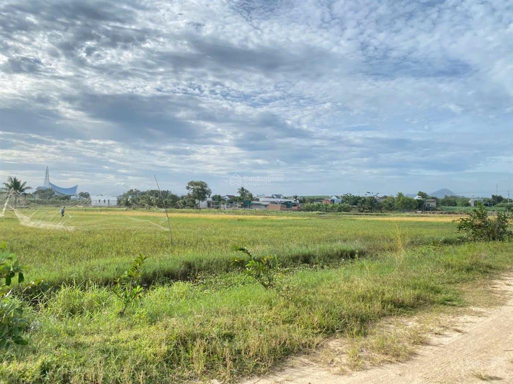 Chỉ với hơn 1,1 triệu/m2 sở hữu ngay đất sào gần biển lagi (1631.8m2) h. nguyễn thông, tân bình