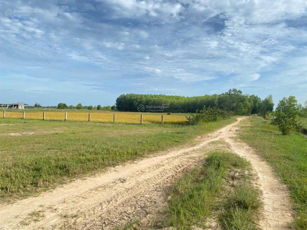 Chỉ với hơn 1,1 triệu/m2 sở hữu ngay đất sào gần biển lagi (1631.8m2) h. nguyễn thông, tân bình