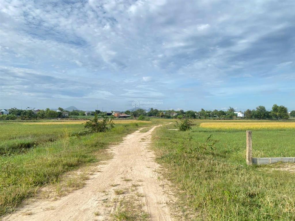 Chỉ với hơn 1,1 triệu/m2 sở hữu ngay đất sào gần biển lagi (1631.8m2) h. nguyễn thông, tân bình