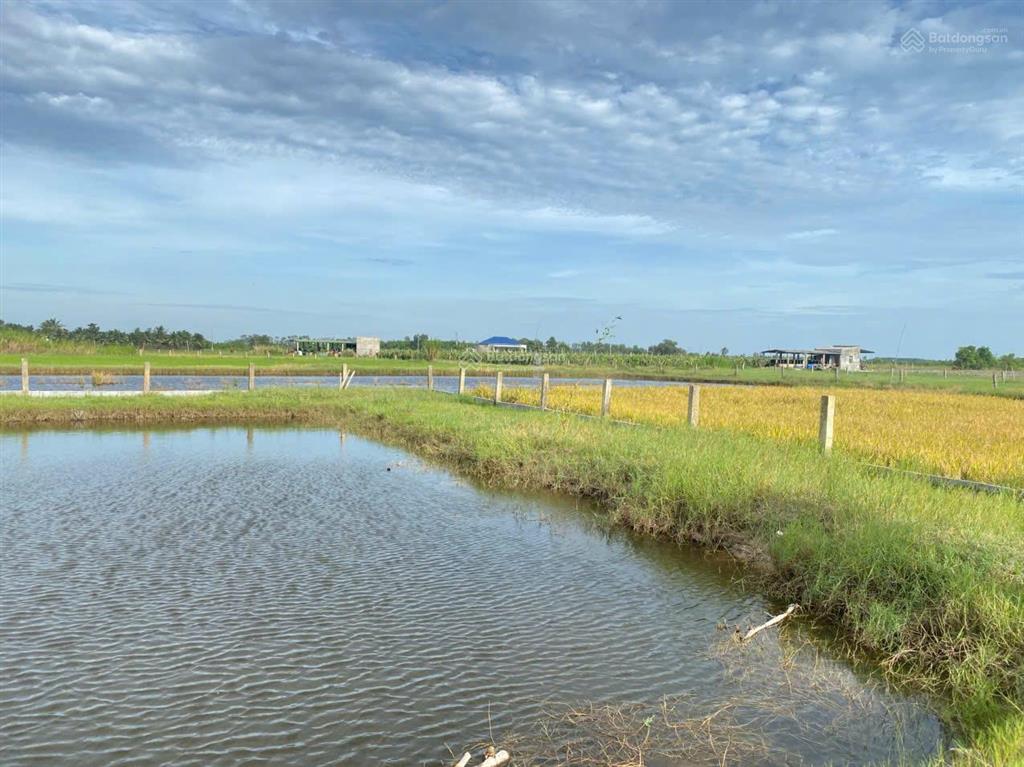 Chỉ với hơn 1,1 triệu/m2 sở hữu ngay đất sào gần biển lagi (1631.8m2) h. nguyễn thông, tân bình