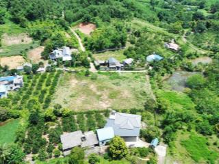 Chính chủ nhờ bán 12,4ha đất tổng hợp thổ cư + cln + rsx đẹp xuất sắc