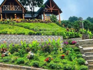 Chỉ có tại đà lạt mua lô nhà đất triệu việt vương tặng villa sang trọng nghỉ dưỡng
