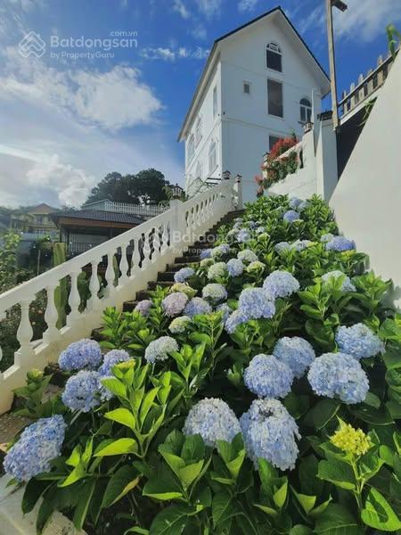 Biệt thự vườn trung tâm thành phố đường tô hiến thành, p3 gara ô tô, sống sang trọn vẹn