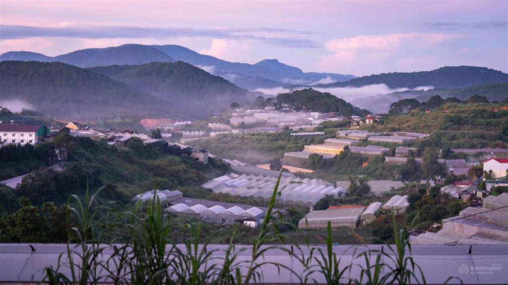 Bán gấp nhà đẹp triệu việt vương, phường 4 chỉ xách vali vào ở