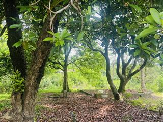 Chính chủ gửi bán siêu phẩm nghỉ dưỡng view núi triệu đô tuyệt đẹp hàng xóm điền viên thôn