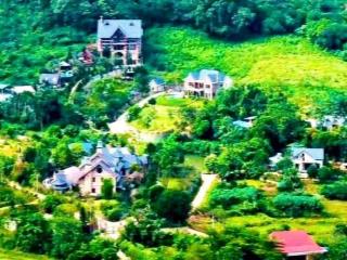 Bán lô đất 1,2ha 300m thổ cư mặt trục chính xã phú cát, hà nội