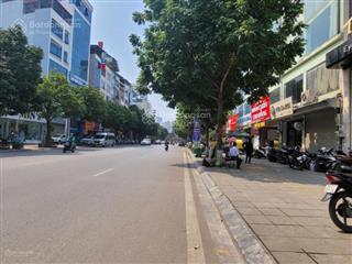 Bán nhà mặt phố nguyễn thái học, ba đình. dt 50m2 x 6t, mt 4m. lô góc 2 mặt, thang máy, vỉa hè to