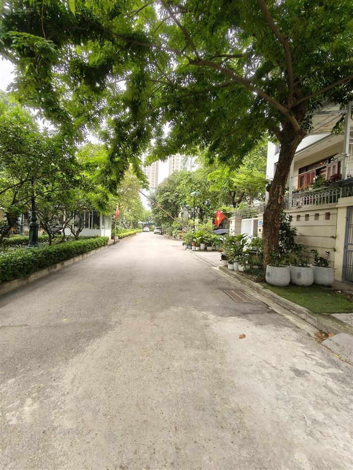 Biệt thự sân vườn quảng an 295m² gara ô tô mặt tiền bề thế 75 tỷ