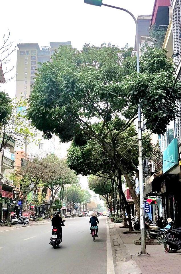 Chính chủ gửi bán gấp 150m Tân Xã,Hoà Lạc, cách DH FPT 500M Giá từ 4 tỷ