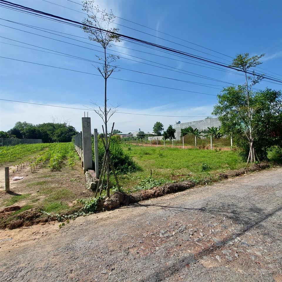 Chính chủ cần bán đất ở diện tích 881m2 xã thanh phước, huyện gò dầu, tỉnh tây ninh
