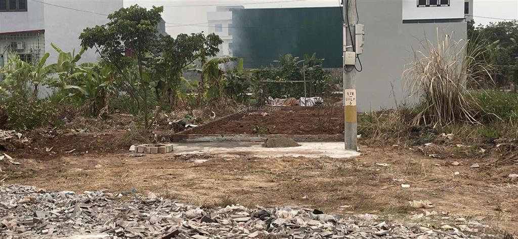 76m2 đất dịch vụ lại yên đường 24m vỉa hè 3m giá tốt nhất thị trường