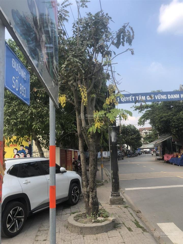 Chính chủ cho thuê đất và nhà, phường long trường (p. phú hữu cũ), tp.thủ đức. đường xe tải