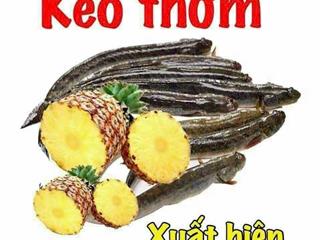 Bán np mặt phố 22 tỷ, dt đã trừ hết lộ giới  107m cực kỳ đẹp tại bình trưng đông cũ, q2, hcm