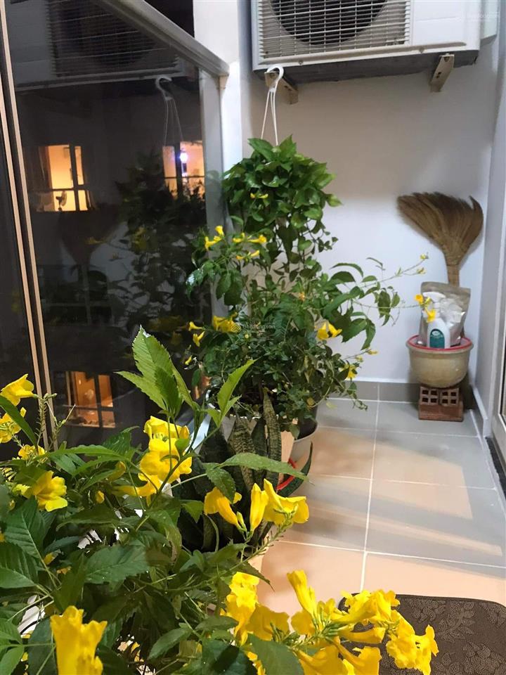 Chính chủ cần bán gấp căn hộ cao cấp sky center 75m2 2pn 2wc 5.8 tỷ. đt 0909 476 *** gặp cường