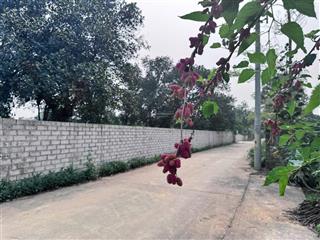 Chính chủ cần bán lô đất không sổ 3300m2 tại đồng trạng, cổ đông, sơn tây