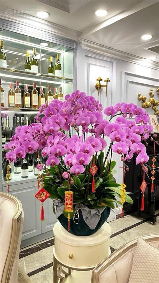 Bán lk vov, nam từ liêm. dt 91,8m2 x 5 tầng. hoàn thiện. giá 34,5 tỷ.  0964 769 ***