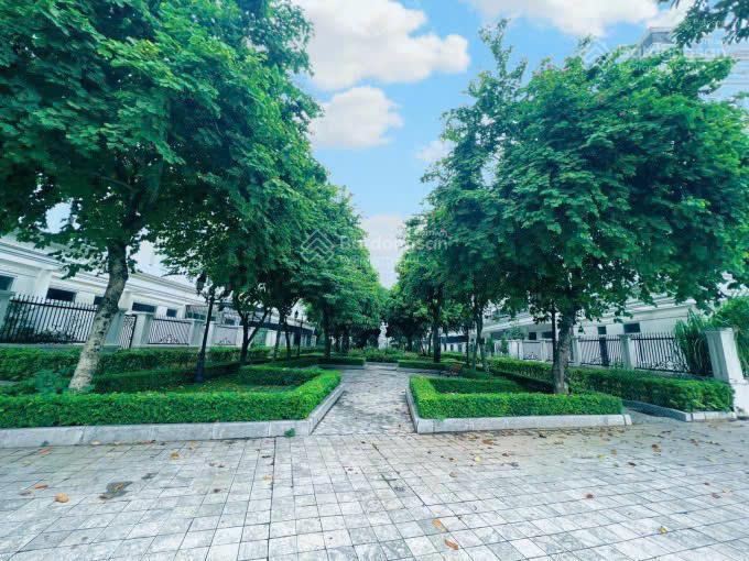 Cc bán lk louis city đại mỗ, nam từ liêm. dt 96m² x 5,5t, lô góc. sđcc. giá 29 tỷ.  0964 769 ***