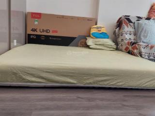 Chủ cho thuê căn hộ phân khu cao cấp tk2 the tonkin2 vinhome smart city, có bê thủy trị liệu 4 mùa