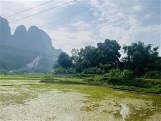 Siêu phẩm 3 mặt tiền view cánh đồng, view núi