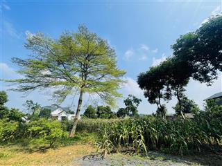 Bán đất đẹp giá rẻ tại trung tâm xã cư yên, lương sơn, hòa bình
