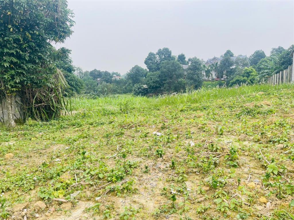 Chuyển nhượng lô đất 1.206m² (150m² thổ cư) xã cao dương, lương sơn, hòa bình