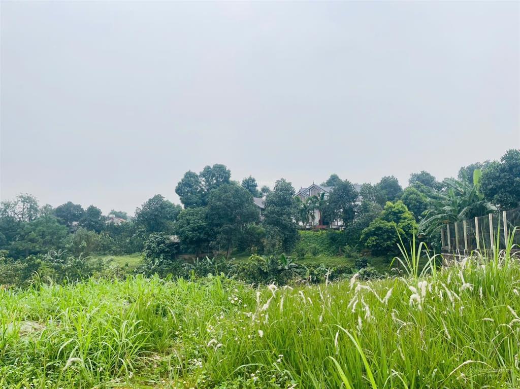 Chuyển nhượng lô đất 1.206m² (150m² thổ cư) xã cao dương, lương sơn, hòa bình