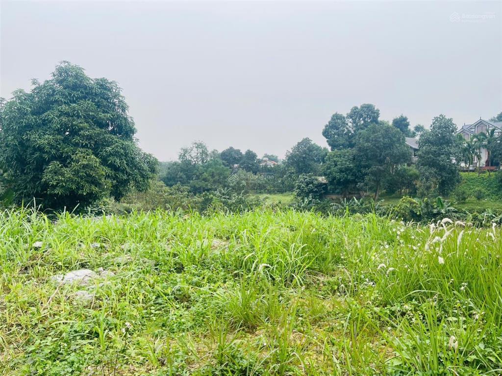 Chuyển nhượng lô đất 1.206m² (150m² thổ cư) xã cao dương, lương sơn, hòa bình