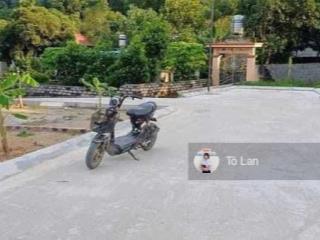 Chính chủ gửi bán mấy lô đất đẹp tại xã phù linh thủy nguyên hải phòng