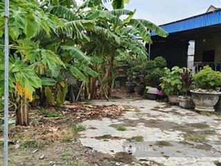 Chủ cần bán gấp 73 m đất xã việt khê phù ninh (cũ) giá chỉ nhỉnh nửa tỷ