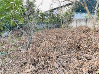 Bán lô đất 645m2 ( rộng 15, sâu 43m)Thuộc  Tiểu Khu Bó Pun – Mộc Châu – Sơn La.