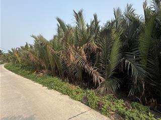 Đất cẩm thanh 3 mặt tiền view hồ , view dừa , view sông giá rẻ