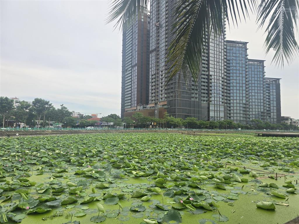 Bán đất siêu hiếm quảng khánh tây hồ 900m2 view trực diện hồ tây, mặt tiền khủng 60m