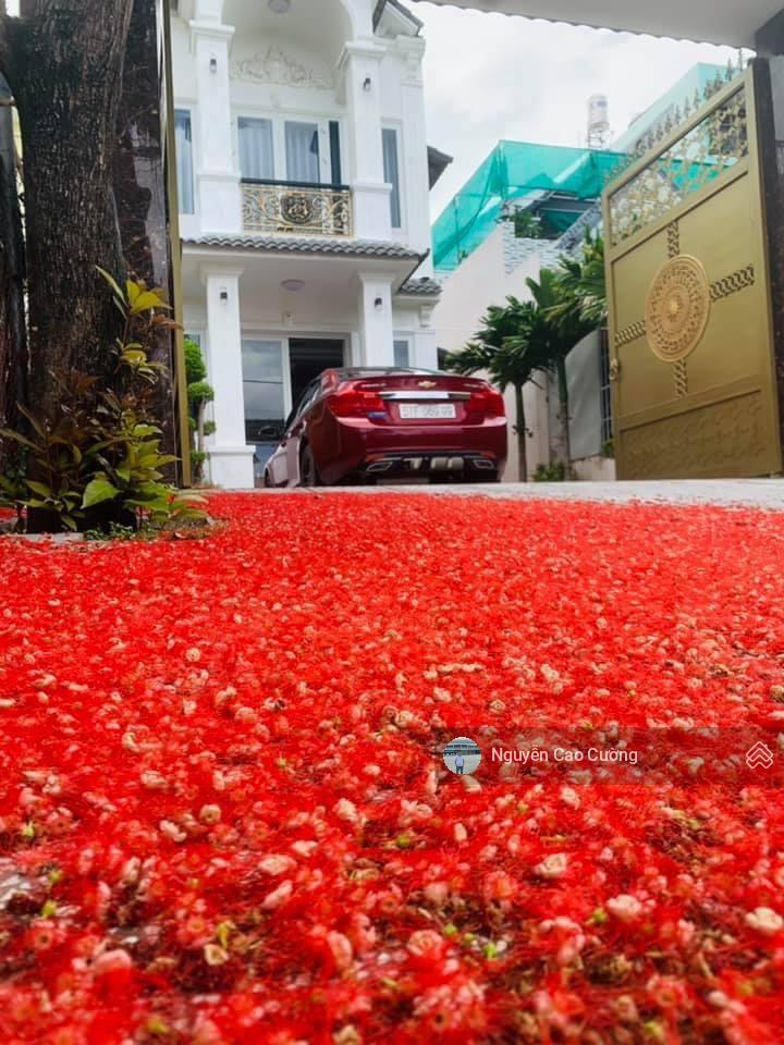 Hạ giá 2tỷ, siêu phẩm biệt thự 8x27m đường nhựa 8m thông, tân thới hiệp 21 gần bệnh viện q12