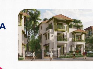 Bán biệt thự vip giá tốt nội bộ ưu đãi tặng nội thất 700tr nhận nhà th6/2026 sun urban city hà nam