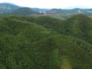 Bán đất tại đt 602, hòa ninh, hòa vang, đà nẵng, 7,7 tỷ, 4600 m2