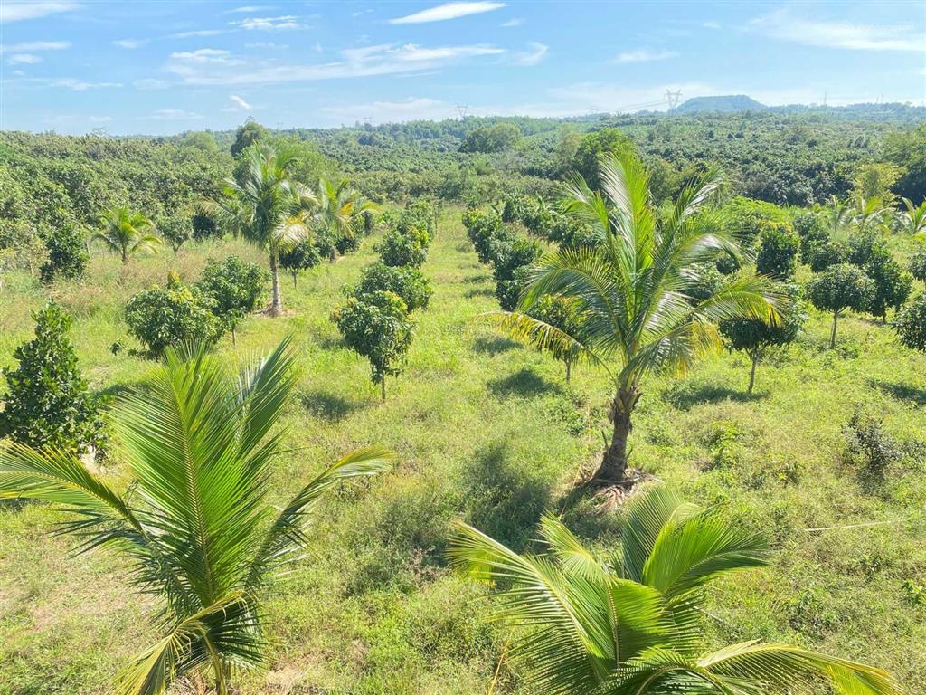 Bán khu nghỉ dưỡng đầy đủ tiện nghi mua là vào ở liền