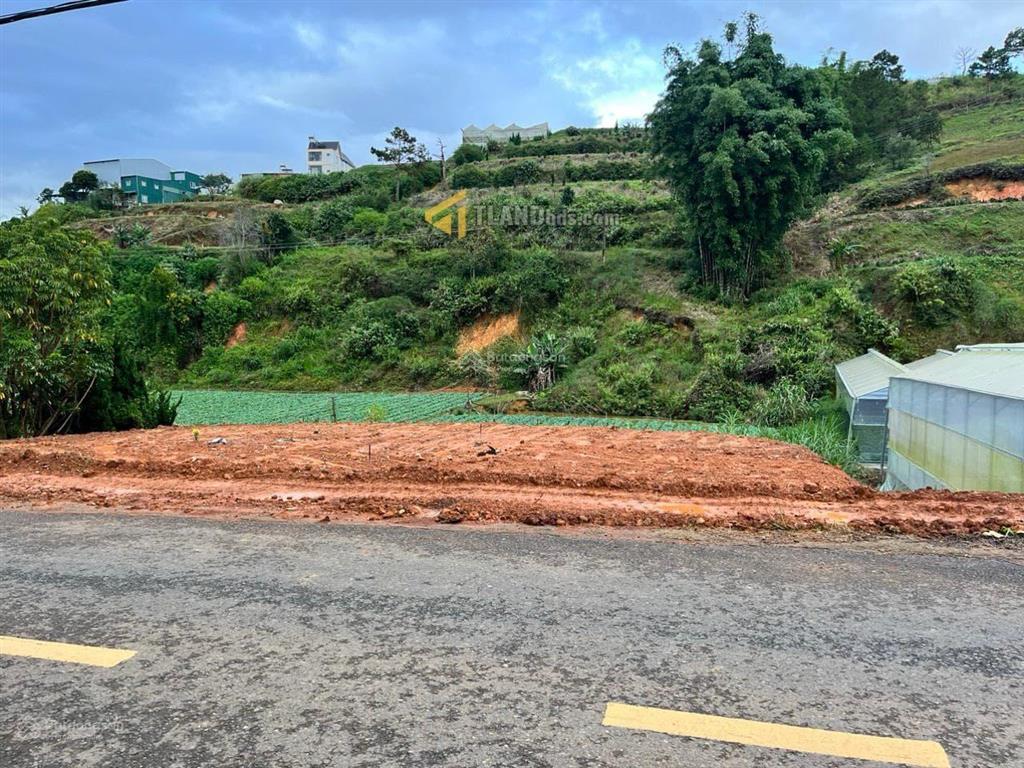 Hạ còn 8,5 tỷ  bán 438m2 đất thổ cư mặt tiền đường đa phú, phường 7, đà lạt