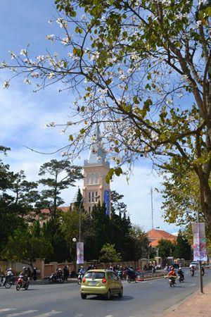 Đất liên kế đường ô tô ngay trung tâm đà lạt, gần nhà thờ con gà