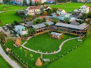 Bán lô view lúa 2 mặt trước sau đều là lúa giá tốt