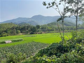 Chính chủ bán 132m2 tại chiềng châu, mai châu, hoà bình