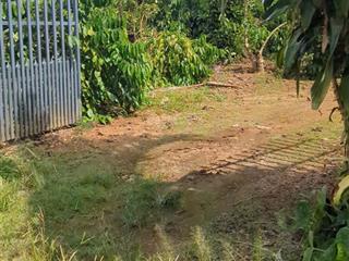 Bán đất vườn 2 mặt tiền tại xã tà lài, đồng nai có 300m² thổ cư, nhà sẵn, vườn cây đang thu hoạch