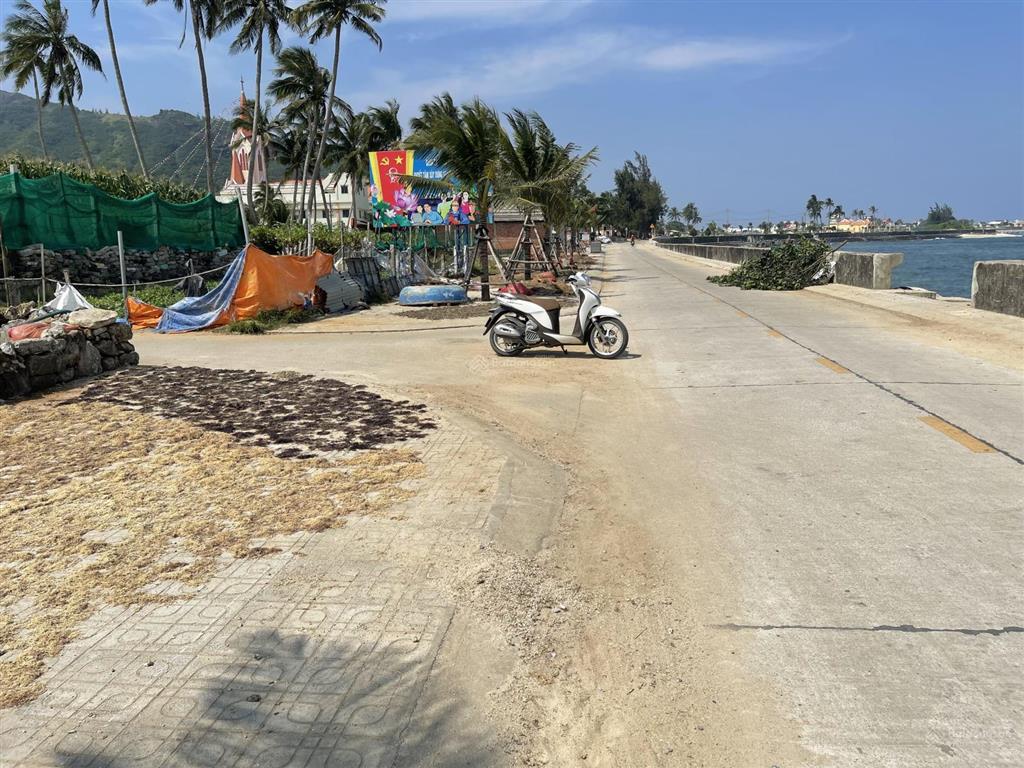 Bán đất thổ cư view biển tại an hải, 730m2, giá 5,9 tỷ tại lý sơn, quảng ngãi